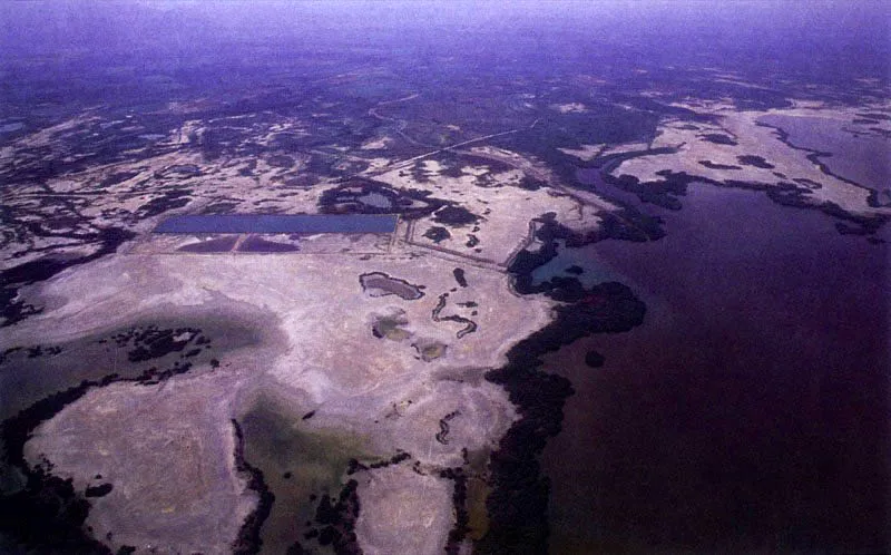 Los manglares de borde
se limitan a la franja inundada periódicamente con agua salada o salobre. Dependiendo del aporte de nutrientes y de las condiciones climáticas reinantes, estos mangles
alcanzan diferentes grados de desarrollo. En el Caribe esta franja es normalmente estrecha debido a que el rango de las mareas no supera los 60 centímetros.