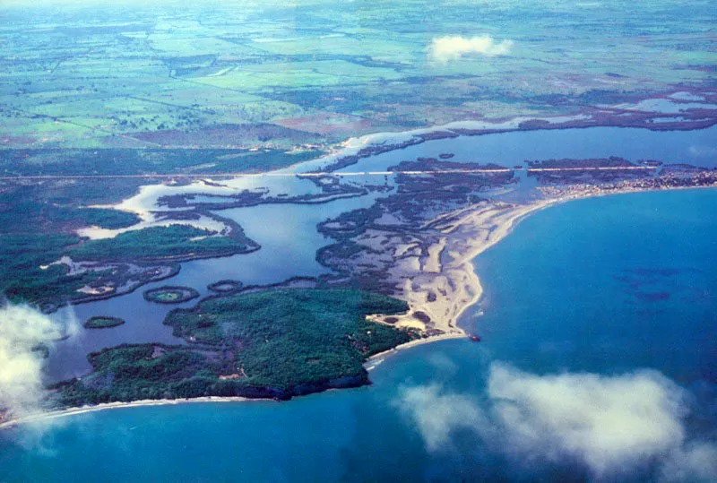 Tanto en el Caribe como en el Pacifico, página siguiente, los manglares se desarrollan en zonas protegidas del embate directo de las olas. Esto se aprecia claramente en el manglar de La Boquilla, cerca a Cartagena, en donde el nuevo manglar está colonizando playones inundados. Es curioso ver la distribución tan particular de la vegetación, la cual depende directamente del tamaño de los embriones y de la profundidad. Por esto vemos mangles en zonas
de 20 centímetros de profundidad, mientras que las lagunas de más de 40 centímetros no tienen vegetación.