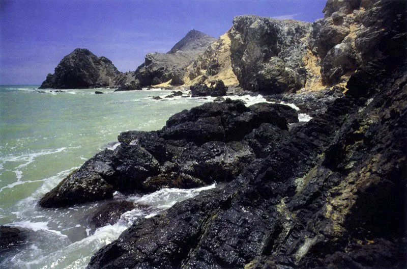 Para su normal desarrollo los manglares requieren de sustratos fangosos, fango?arenosos o de arcilla consolidada, No se encuentran sobre sustratos rocosos y zonas de acantilados expuestos a olas de alta energía ni en playas arenosas batidas
por el mar. En estas
últimas los embriones no pueden anclar al ser permanentemente arrancados del sustrato inestable.