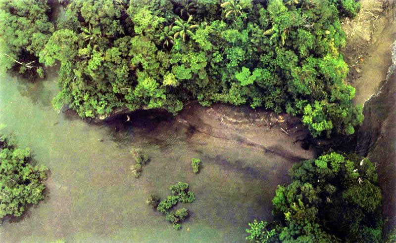 En aguas protegidas, como por ejemplo las de Baha Mlaga en el Pacfico colombiano, los manglares se desarrollan a lo largo de la franja cos-tera  erosionada y no requieren de una barra de proteccin porque la baha en su conjunto acta como un gigantesco rompeolas.
 