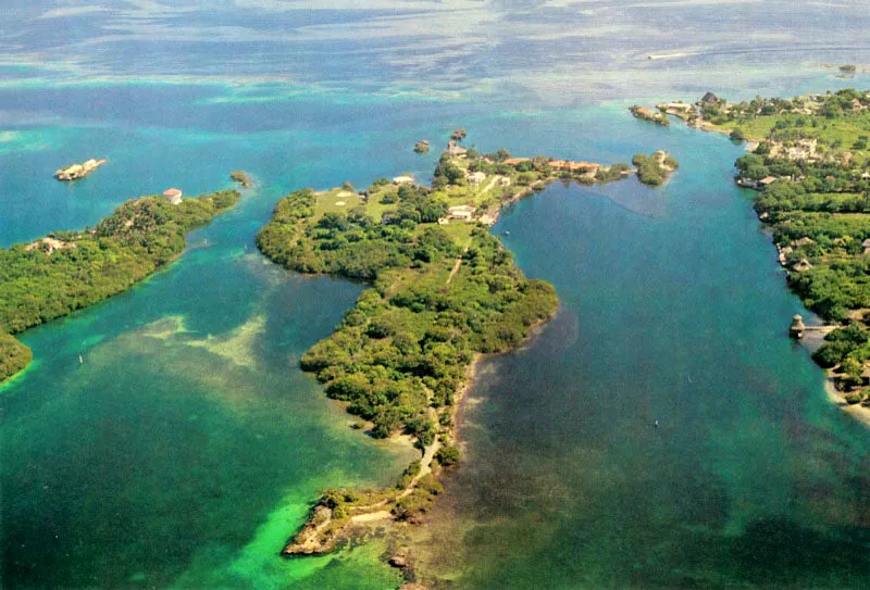 Los manglares de la costa atlántica tienen normal-mente poco desarrollo, y
los cinturones se limitan generalmente a estrechas franjas costeras influen-ciadas por la acción de las mareas, las cuales no superan los 60 centíme-
tros de altura.
Caño de la Guasa, entre
La Isleta y la isla de La Marina y Caño Ratón,
entre aquélla e Isla
Grande, bordeados con cinturones de mangle rojo, en el archipiélago del Rosario.