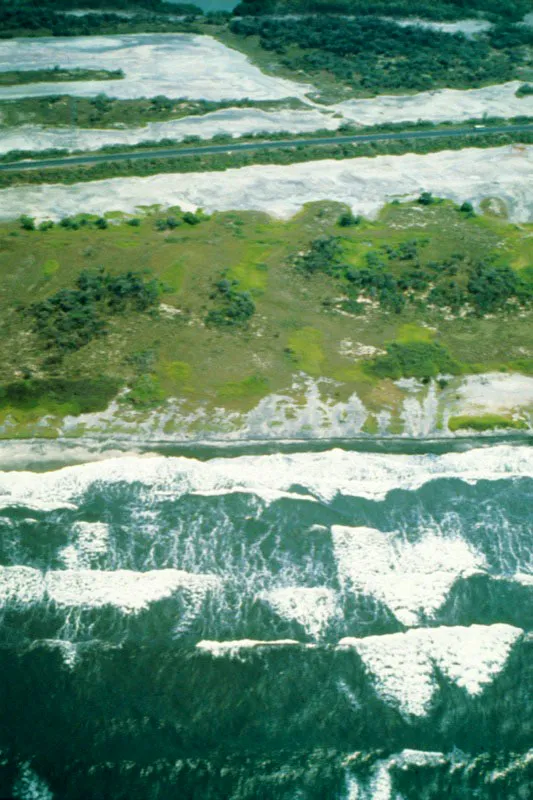 En el Caribe colombiano las bajas precipitaciones, de menos de 1000 milímetros por año, determinan que la
salinidad del suelo
aumente considerablemente por la alta tasa de evaporación, a menos que la zona sea inundada periódicamente por agua dulce. Por lo tanto,
cuando se interrumpe este intercambio de las aguas
se presentan alteraciones catastróficas en el suelo.