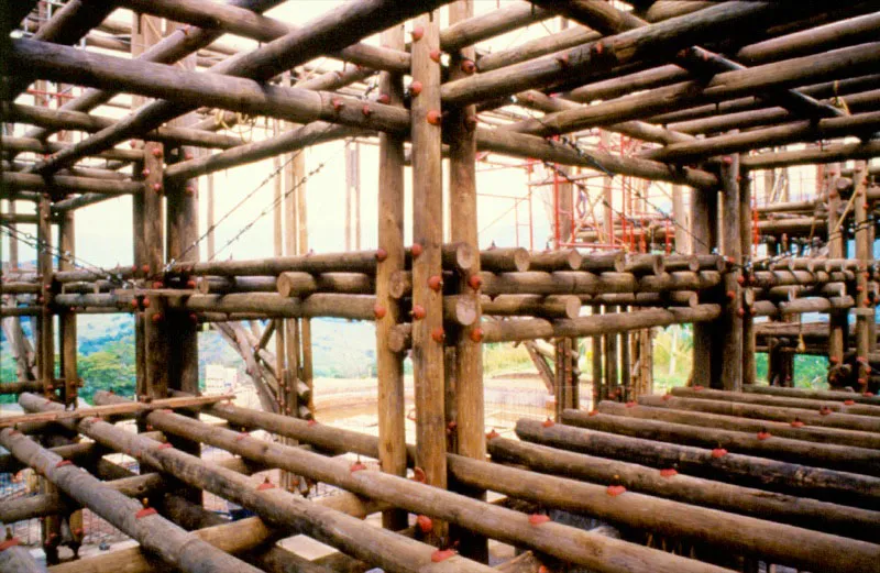Por su dureza y alta resistencia, las varas de mangle tienen un gran mercado y son muy apreciadas en las construcciones navales, especialmente como sobrequillas, costillas y mástiles de veleros. Curiosamente,
esta madera tan resistente
y durable es muy susceptible al ataque del molusco Teredo navalis, comején
del mar, el cual la perfora
y pulveriza. Esta es la razón por la cual no se fabrican muelles u otras instalaciones marinas con ella. En el agua dulce esta madera es incorruptible. Desafortunadamente la mayor parte de ésta explotación forestal se
hace de una manera antitécnica, lo cual está amenazando al recurso debido a que los leñadores talan los manglares que crecen a la orilla de los esteros ? los más productivos y vitales para el ecosistema?, para facilitar su extracción.
