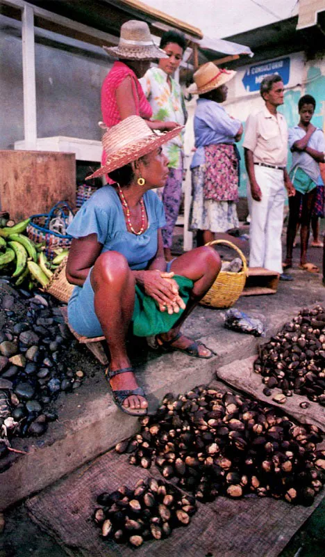 Hay dos productos fundamentales que caracterizan el manglar de las dos costas de Colombia. En la del Pacífico se extraen de los manglares los bivalvos conocidos como piangua, Anadara tuberculosa y Anadara similis, que
viven enterrados cerca de las raíces y se alimentan casi exclusivamente del material detrítico filtrado. Por su abundancia se constituyen en una de las fuentes más ricas y
baratas de proteína del Pacifico colombiano. Para su extracción no se requiere de equipos o artes
de pesca complicados; basta con buen ojo y
manos para cosecharlas.
