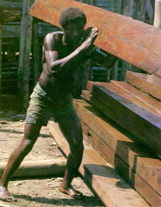 Habitantes y pescadores de las regiones costeras del Caribe y del Pacífico en Colombia.