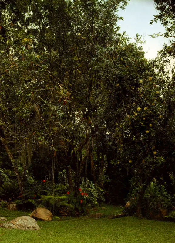 La Unión, Cundinamarca. Claudia Uribe Touri