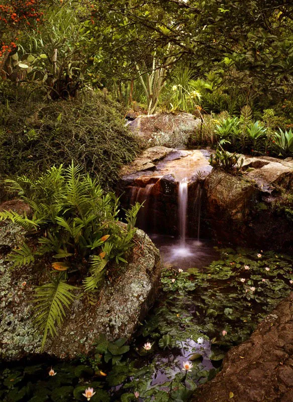 La Unión, Cundinamarca. La sabiduría china afirma que “Si bien es cierto que existe el noble arte de hacer las cosas, no es menos cierto que también existe el más noble arte de dejar las cosas sin hacer.” Ante la contemplación de este jardín, habría que acuñar una nueva máxima, y es ésta: “Si bien es cierto que existen el noble arte de hacer las cosas y el más noble arte de dejar las cosas sin hacer, no es menos cierto que, además, existe el supremo arte de hacer las cosas de tal modo que parezca que se han dejado sin hacer.” Claudia Uribe Touri