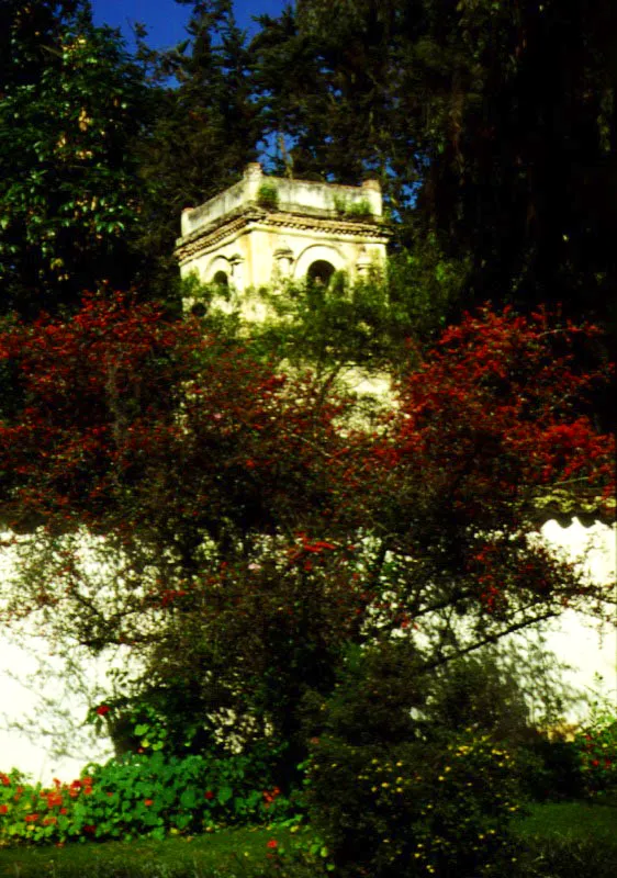 Sogamoso, Boyac.  Este entraable exponente del legado arquitectnico adquiere realce por medio del contraste entre el blanco enjalbegado de sus muros y el vibrante rojo del holly norteamericano. Al fondo se destaca el verde neutro del pino canadiense, el urapn chino y el eucalipto australiano. En primer plano un retamo espaol, arbusto que se ha hecho subespontneo en regiones de clima fro. En este ambiente cosmopolita, el humilde pimiento boyacense se empina al frente de la torre aeja y el cachaco repta al pie de la tapia buscando un rayo de sol para lucir sus flores. Esta composicin botnica en la que priman los ejemplares exticos (trmino que, tanto en botnica como en simple castellano, significa extranjero, de origen extrao, y no raro, de forma extraa), se ha convertido en tpica del altiplano cundiboyacense, donde el uso de las especies nativas constituye la excepcin y no la regla. Dijo Enrique Prez Arbelez, sabio fundador del Jardn Botnico de Bogot: La ignorancia en aspectos claves de la fitogeografa es la que nos lleva a vestir con plumas ajenas, para eventual sonrojo. Claudia Uribe Touri