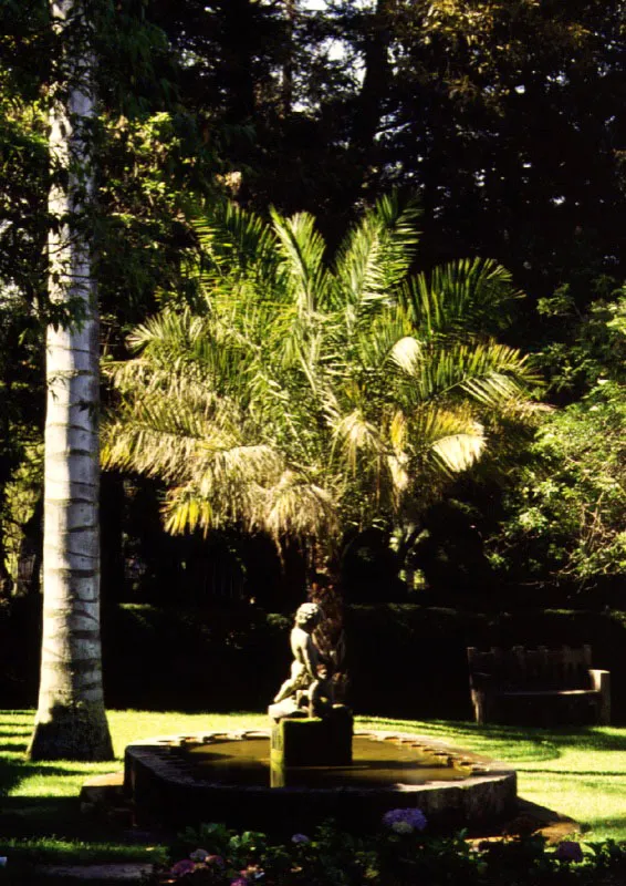 Museo El Chic, Bogot.  C omo en otras latitudes, tambin aqu los principales jardines de las residencias de antao han pasado a ser parques de uso pblico, con lo cual se han podido salvar de la desaparicin y se han conservado para la comunidad sus valores artsticos, paisajsticos y ambientales. Claudia Uribe Touri