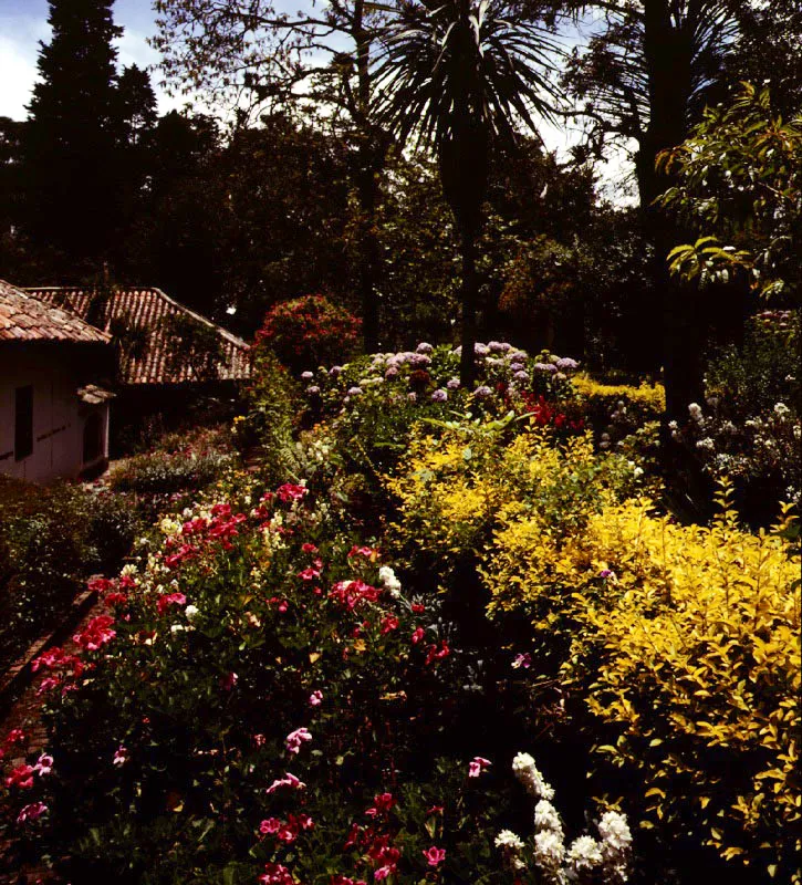 Quinta de Bolvar, Bogot.  Siglo y medio ha transcurrido desde que el Libertador y doa Manuela se marcharon, pero su presencia an se siente en muchos de los rincones de este privilegiado jardn, baado, entonces como hoy, por las lmpidas aguas del arroyo que baja cantando de los cerros (cuando el verano se lo permite). Los nogales que ltimamente han cado en algunas zonas, derrotados por los aos, han dado paso a unos jardines soleados, de coloridas platabandas, ms risueos, pero tambin ms banales, menos ntimos, menos seoriales, en los que ya es difcil percibir las presencias tutelares.



 Claudia Uribe Touri