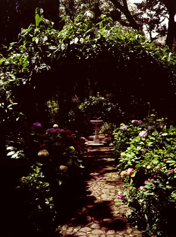 Quinta de Bolívar, Bogotá. Siglo y medio ha transcurrido desde que el Libertador y doña Manuela se marcharon, pero su presencia aún se siente en muchos de los rincones de este privilegiado jardín, bañado, entonces como hoy, por las límpidas aguas del arroyo que baja cantando de los cerros (cuando el verano se lo permite). Los nogales que últimamente han caído en algunas zonas, derrotados por los años, han dado paso a unos jardines soleados, de coloridas platabandas, más risueños, pero también más banales, menos íntimos, menos señoriales, en los que ya es difícil percibir las presencias tutelares.
Claudia Uribe Touri