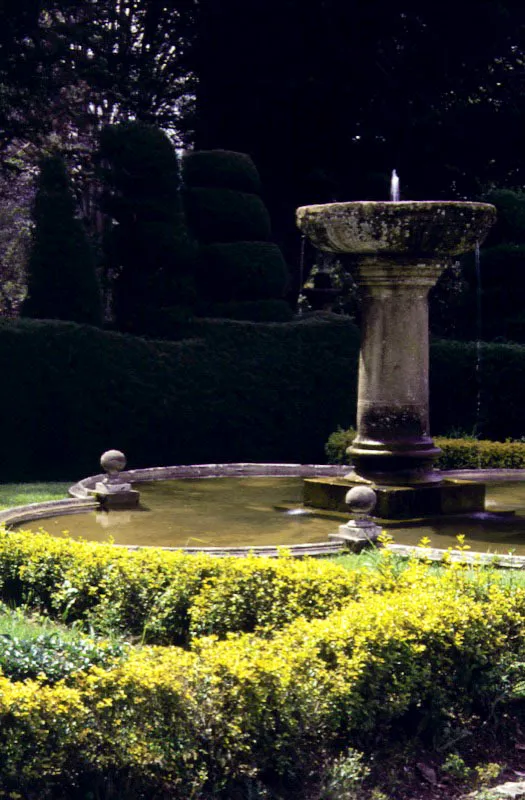 Museo El Chicó, Bogotá. A la manera de la Alhambra, este jardín recibe las aguas de la quebrada a su llegada a la ciudad y las utiliza sabiamente en estanques, cascadas, pilas, albercas, acequias, que alegran y llenan de vida todos los rincones del jardín y del patio central de la casa. Aquí y allá, se destacan los estípites majestuosos de la palma de la cera, orgullo de estos jardines. Claudia Uribe Touri