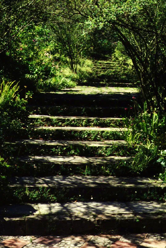 Cha, Cundinamarca.  Segn su ubicacin, cada jardn botnico tiene a su cargo el estudio y divulgacin de la flora de su rea. El Jardn Botnico de Bogot, por encontrarse situado a 2.600 m. de altura en la cordillera de los Andes, es el nico que contiene las asociaciones de la flora alto-andina en sus condiciones naturales. La cascada ha sido construida a fin de crear el ambiente propio para el cultivo de estas especies.
Todo aficionado a la jardinera que trabaje en el altiplano cundiboyacense, o en otro lugar de clima similar, debe visitar el jardn y estudiar sus colecciones. Claudia Uribe Touri