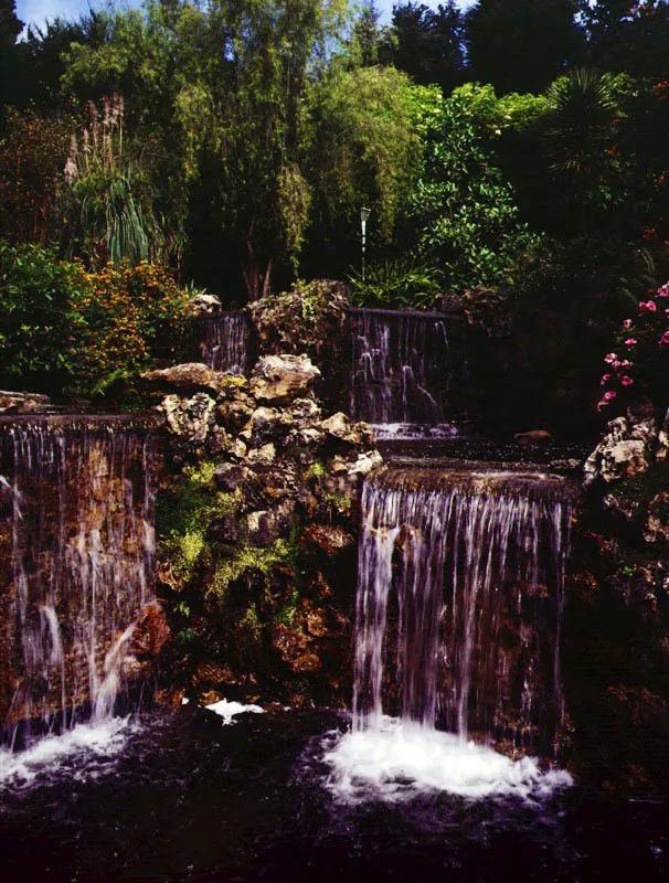 Bogot. El agua, en su incesante deambular hacia los lugares bajos, es el gran aliado del paisajista. Por milenios ha ejercido sobre el hombre su fascinacin ptica y sonora, en la naturaleza y en los jardines. Estos dos raros ejemplos de jardines colombianos de diseo meticuloso ilustran dos principios compositivos diferentes: el de la izquierda, basado en un eje frontal, produce un efecto artificial y grandilocuente, que, no obstante, no intimida a los cisnes ptreos que se zambullen gozosos en sus aguas.
El de la derecha, por el contrario, utiliza un eje de simetra diagonal que, trabajado con gran sutileza, produce una grata sensacin de espacio natural. El tiempo, que todo lo pone en su lugar, se encargar de vestir las rocas con verdaderos musgos, helechos y otras plantas propias del ecosistema que con tanta habilidad se ha creado, y no faltarn las aves de pluma que encontrarn aqu el medio propicio para afincar sus nidos y criar sus polluelos. Claudia Uribe Touri