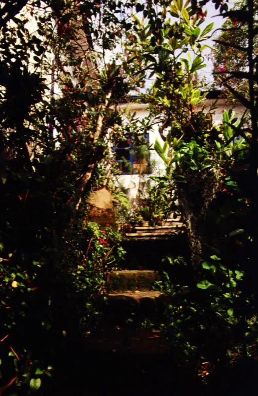Tenjo, Cundinamarca. El herbaceus border, o borde herbáceo, es característico de la tradición del jardín inglés, y aquí se aprecia creciendo en todo su esplendor en la sabana de Bogotá. Afinidad de clima, afinidad de forma. Toda la variedad de tamaño, de textura, de color, de floración y de follaje, que son requisito en un buen borde herbáceo, tal como lo define Christopher Lloyd en su clásico The Well Tempered Garden, se encuentran aquí
presentes, lo que denota la mano de un jardinero culto y hábil. Claudia Uribe Touri