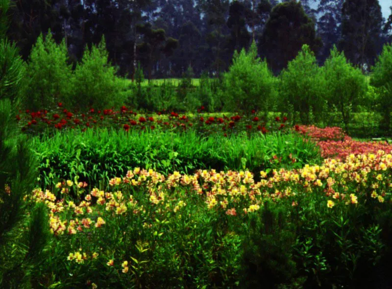 Cha, Cundinamarca. Un jardn a gran escala, de gran simplicidad formal, basado en la contraposicin geomtrica de grandes agrupaciones de plantas pertenecientes a unas pocas especies, de colores sutilmente combinados.  Claudia Uribe Touri