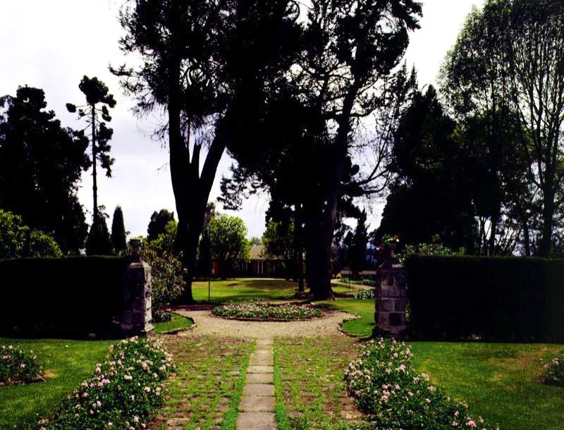 Claudia Uribe Touri
