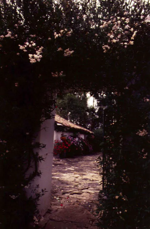 Claudia Uribe Touri