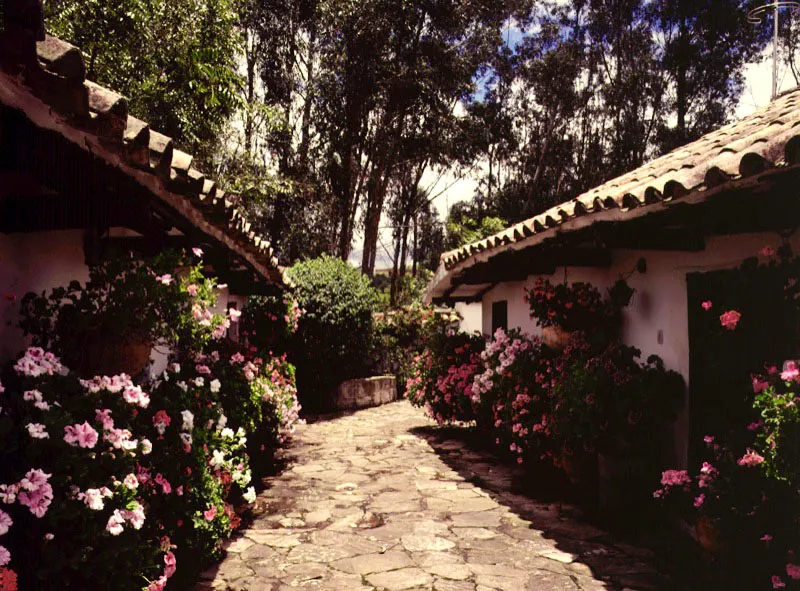 Claudia Uribe Touri