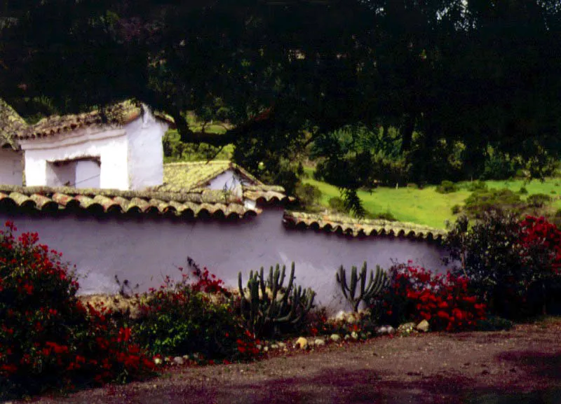 Claudia Uribe Touri