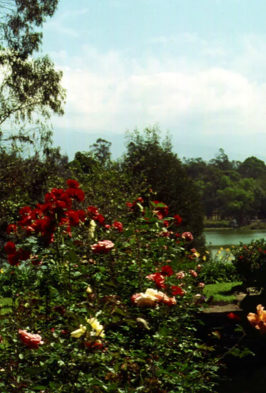 Claudia Uribe Touri