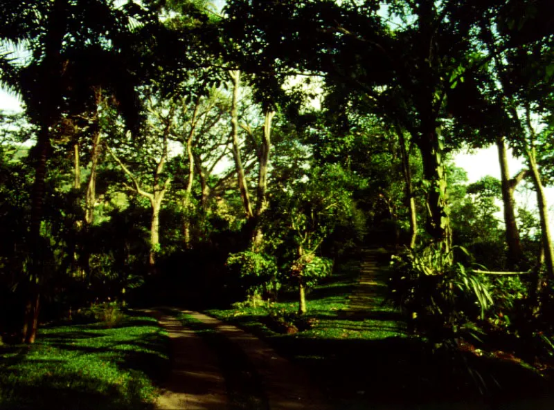 Claudia Uribe Touri