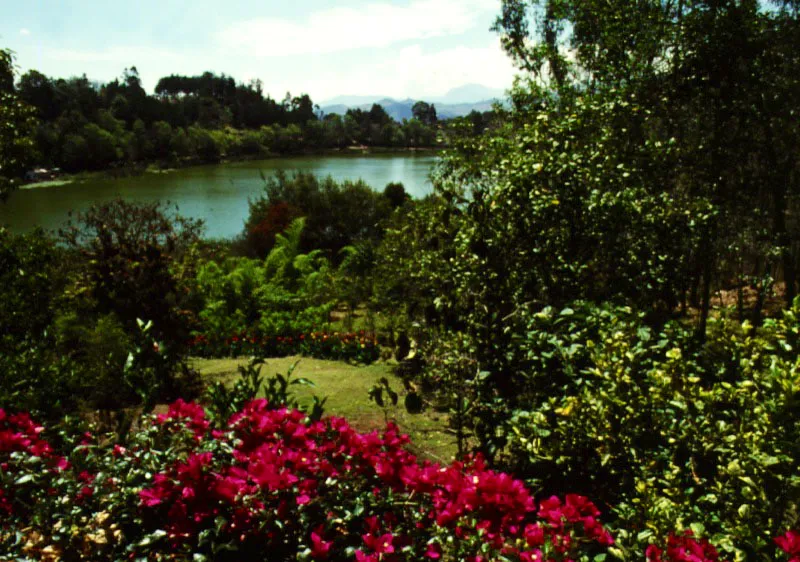 Claudia Uribe Touri