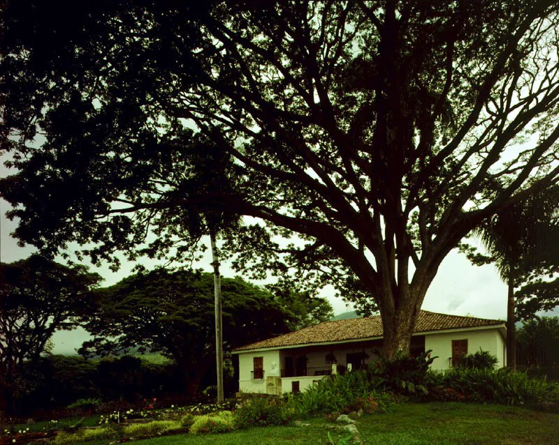 Claudia Uribe Touri
