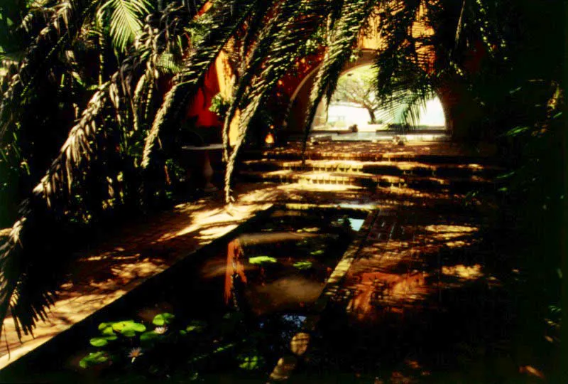 Claudia Uribe Touri