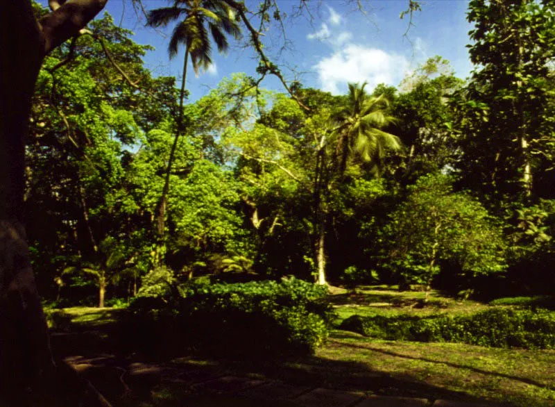 Claudia Uribe Touri