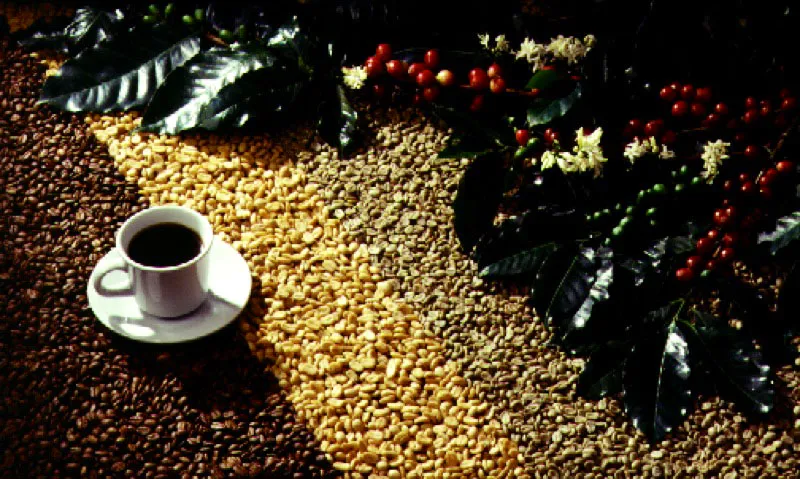 Café