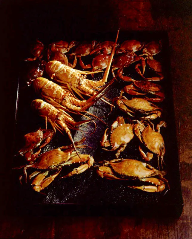 Langostas y cangrejos de mar