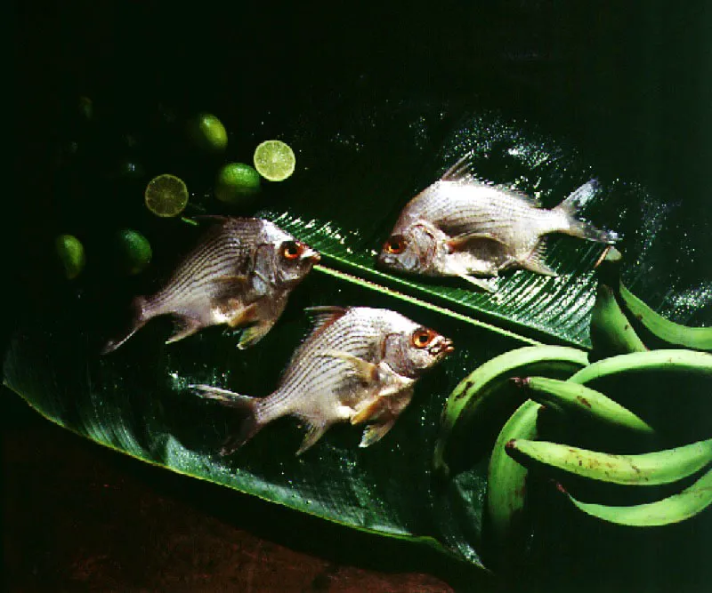 Mojarras. 