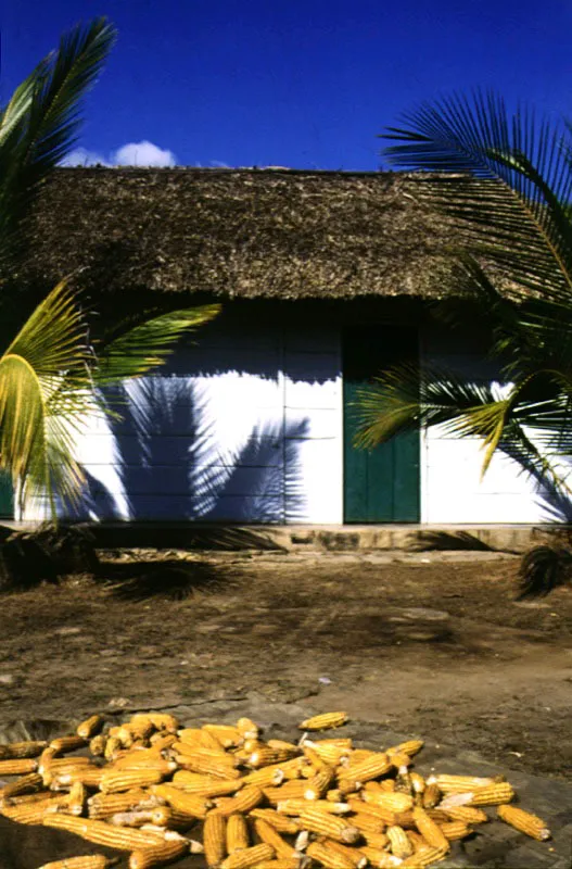 Vivienda en Pasacaballos, Bolívar.