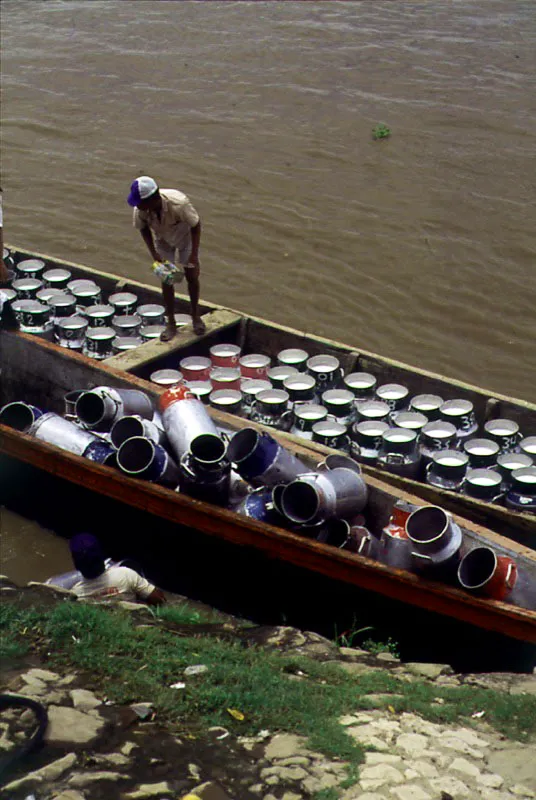 Transporte de leche, Calamar, Antioquia.