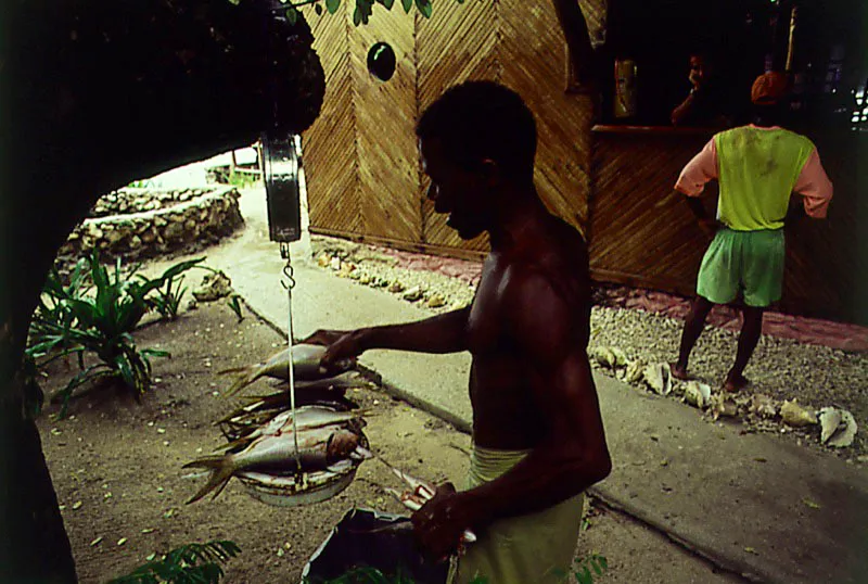 Pesa de pescado. Islas del Rosario, Bolívar