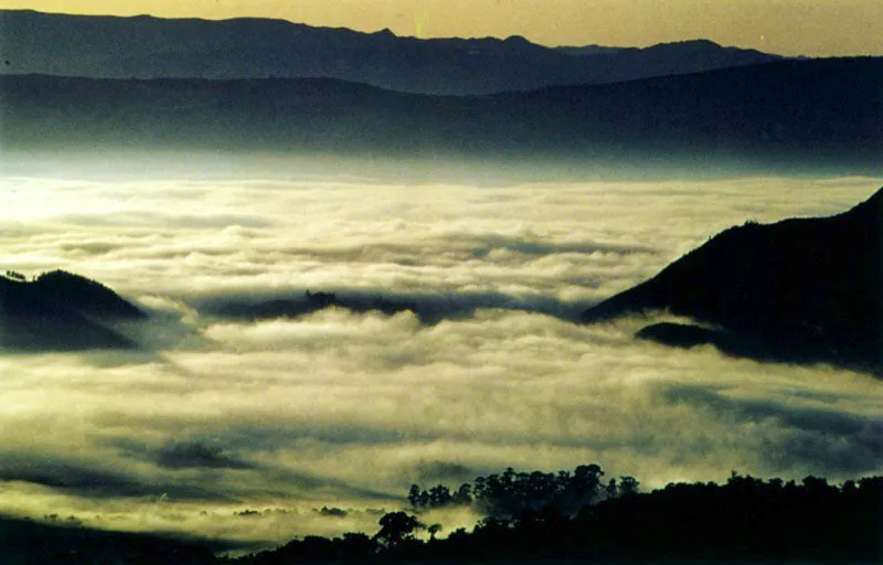 Paisaje en la Sabana de Bogot. 