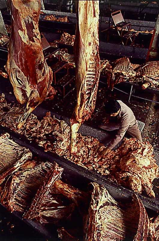 Frigorífico de carne. Bogotá.