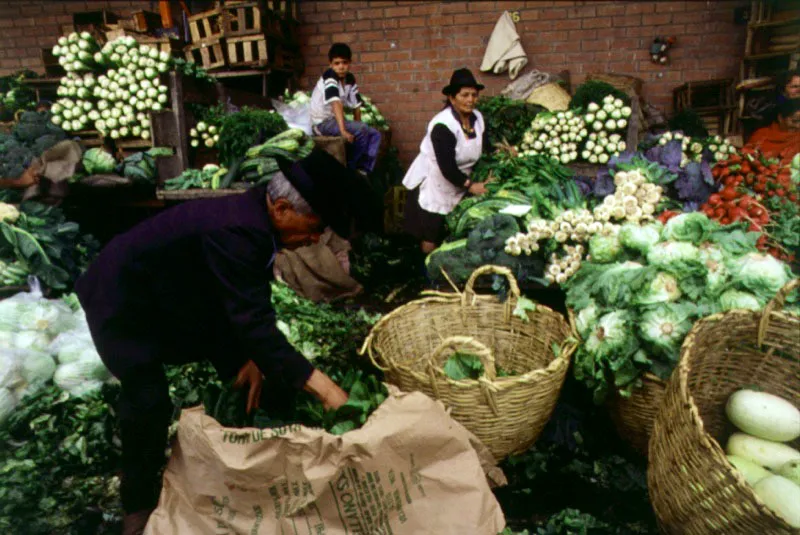 Mercado en la Central de Abastos. Bogotá.