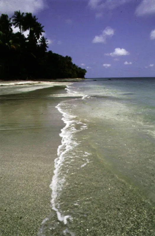 Isla de Gorgona en el Océano Pacífico, Cauca.