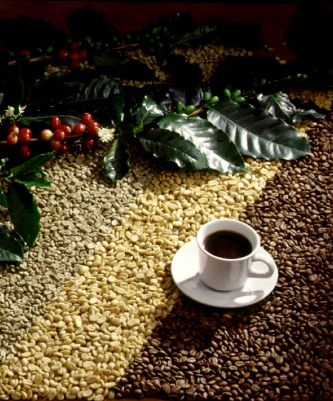 Café.