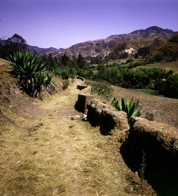 Camino real en Cundinamarca. 