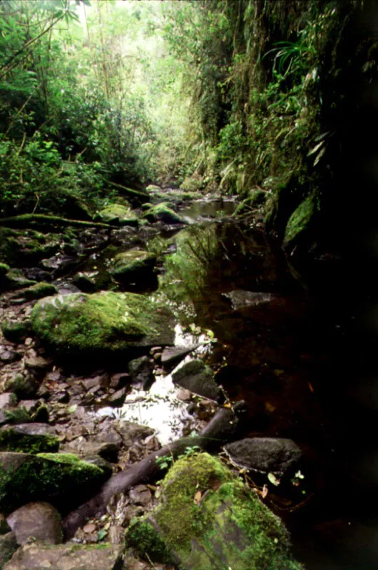 Regin del Sumapaz, Cundinamarca. 