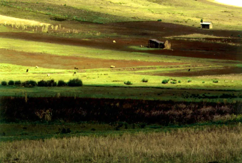 Alrededores de la Laguna de Tota, Boyac. 