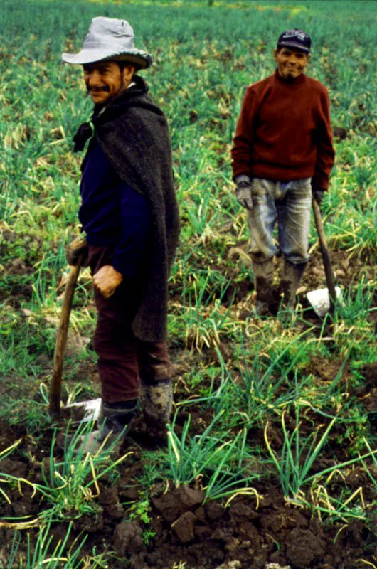 Campesinos de Tenza, Boyacá.
