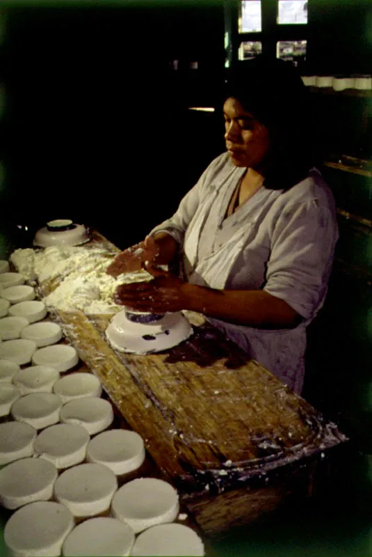 Preparación de quesos. Ubate, Cundinamarca.