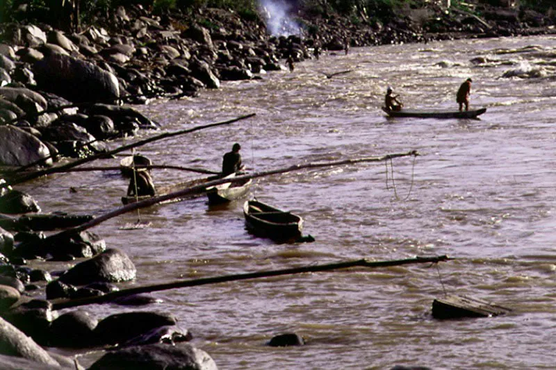 Subienda de pescado en Honda, Tolima.