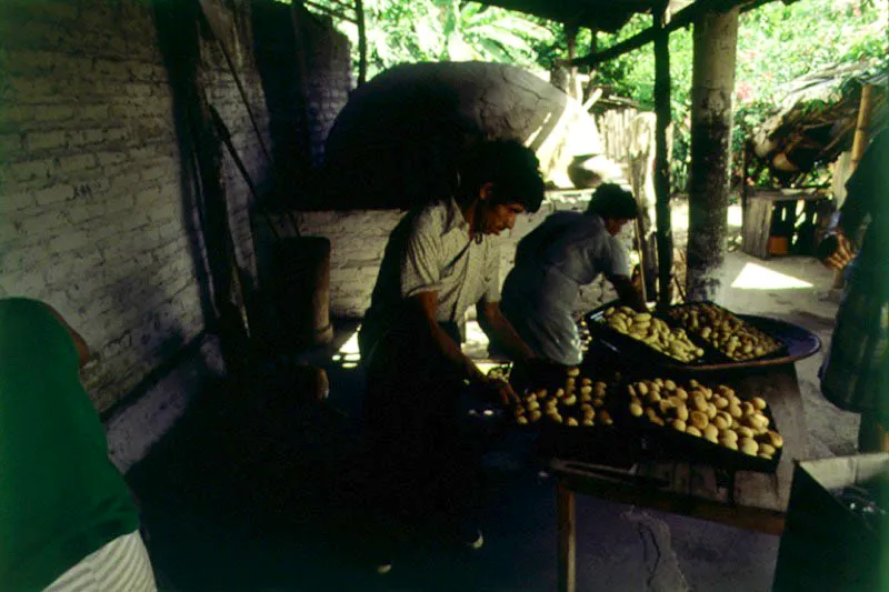 Fbrica de bizcochos de achira. Neiva, Huila. 