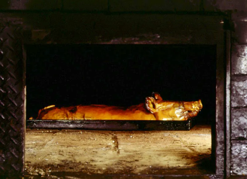 Lechona tolimense.