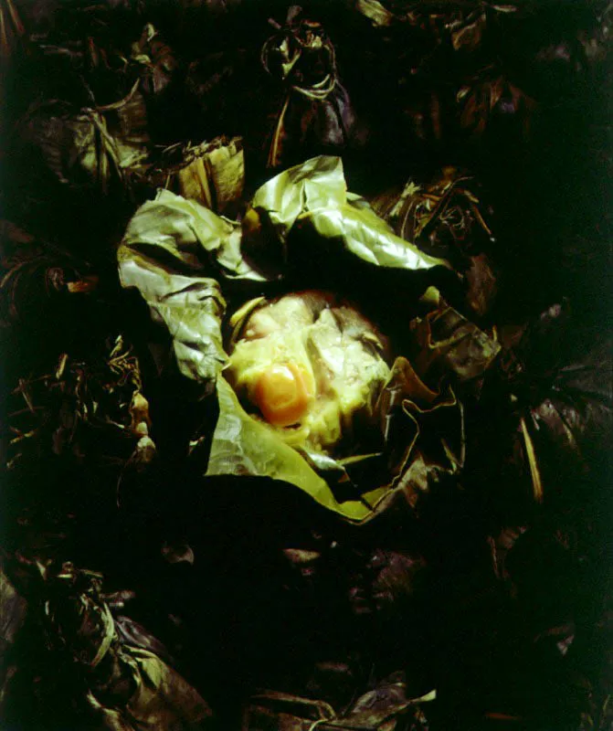Tamal tolimense.